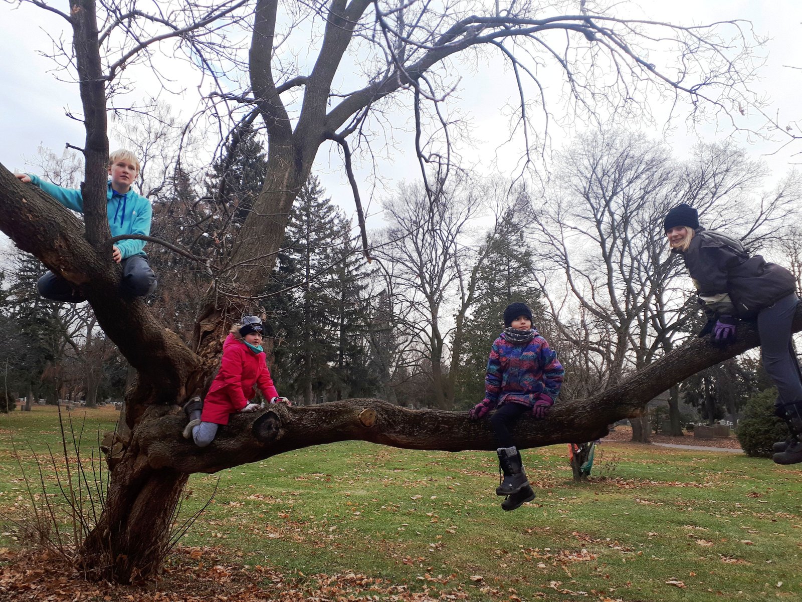 Winter activities